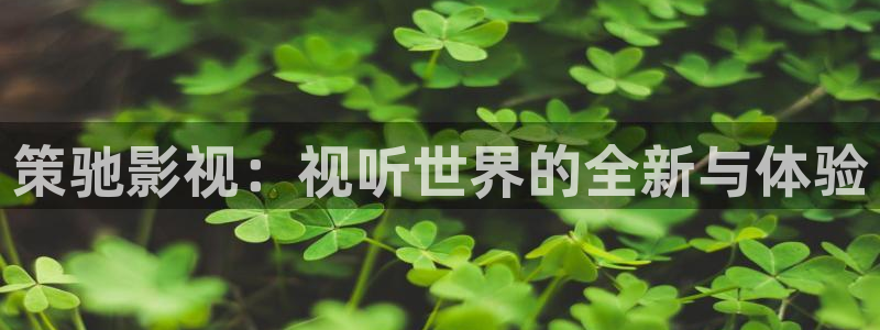 六安红叶国际影城：策驰影视：视听世界的全新与体验