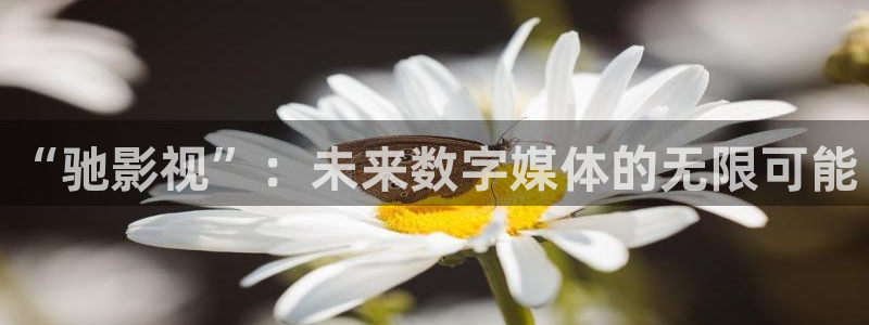 六安红叶电影院今日影讯：“驰影视”：未来数字媒体的无限可能