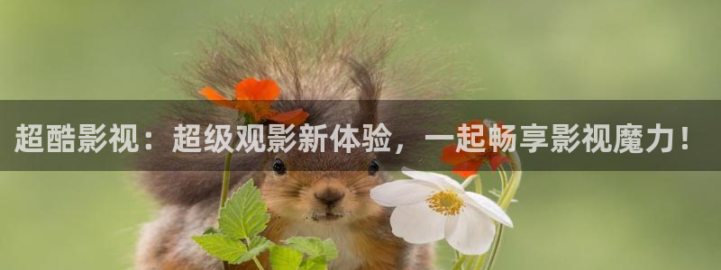 红叶电影：超酷影视：超级观影新体验，一起畅享影视魔力！