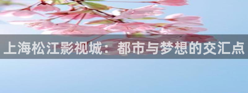 红叶电影今日影讯：上海松江影视城：都市与梦想的交汇点