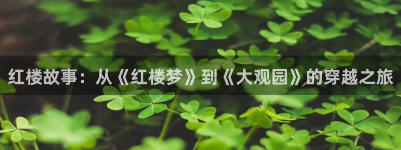 六安红叶影城今日电影：红楼故事：从《红楼梦》到《大观园》的穿越之旅