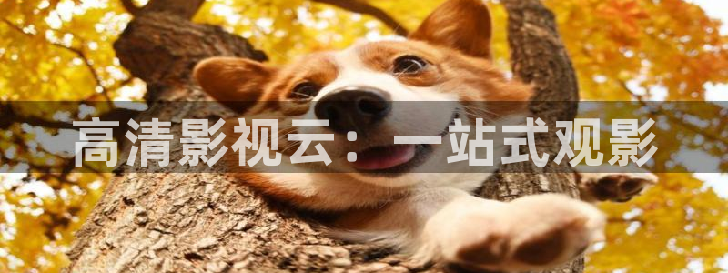 红叶影城：高清影视云：一站式观影