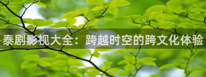 红叶影院app：泰剧影视大全：跨越时空的跨文化体验