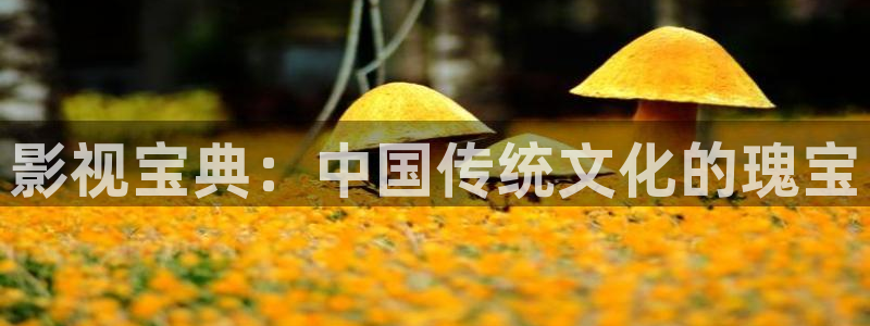 红叶影院下载：影视宝典：中国传统文化的瑰宝